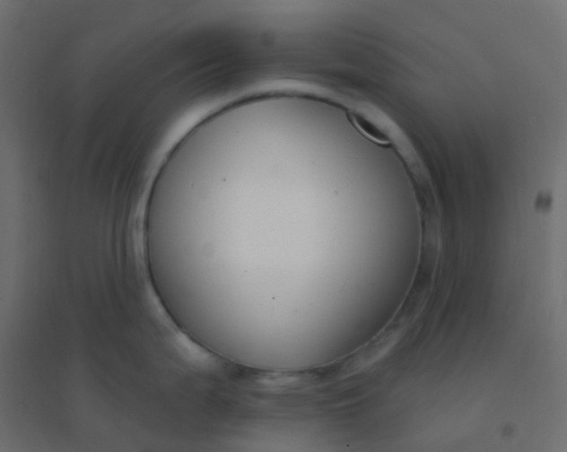 X0000094921199200712131508