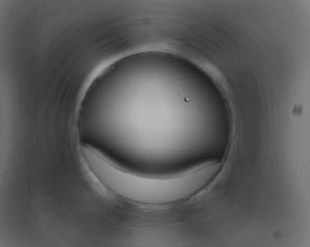 X0000094921200200712131508