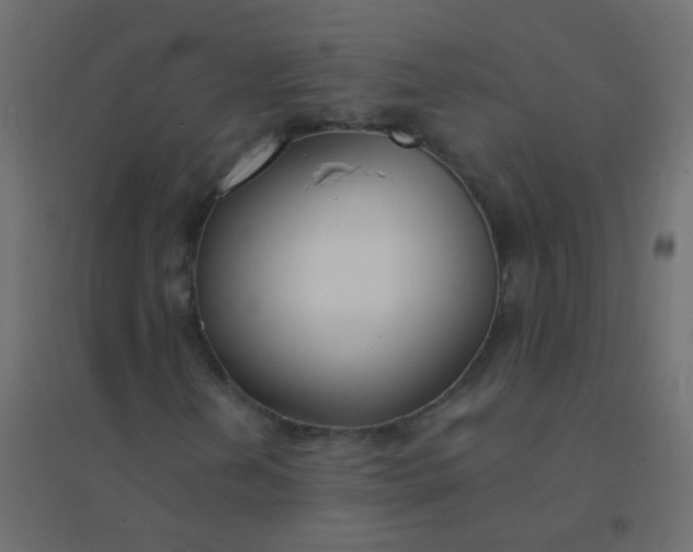 X0000094921202200712131507