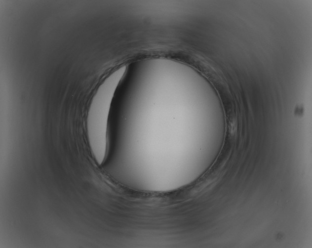 X0000094921204200712131507