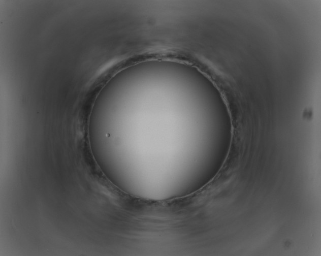 X0000094921206200712131507