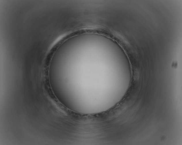 X0000094921208200712131507