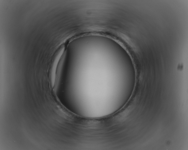 X0000094921209200712131507