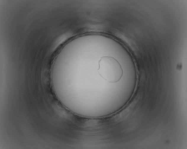 X0000094921211200712131507