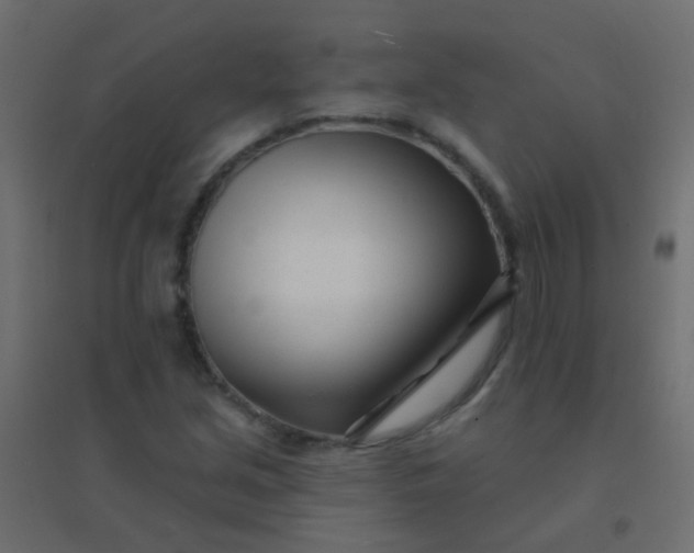 X0000094921213200712131507