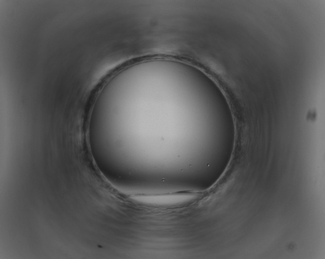 X0000094921214200712131507