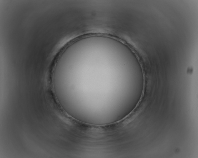 X0000094921215200712131507