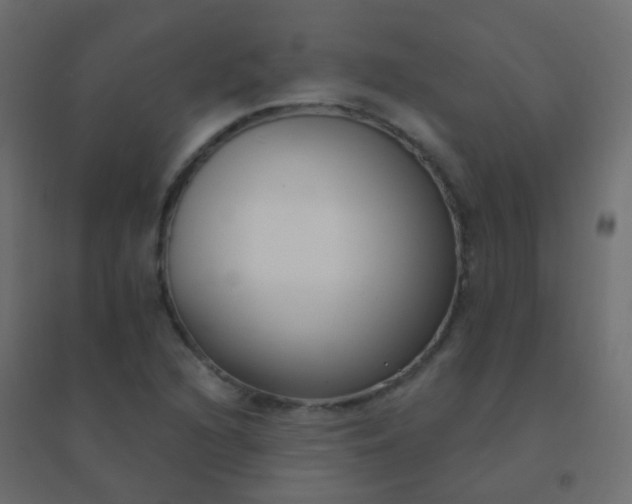 X0000094921216200712131507