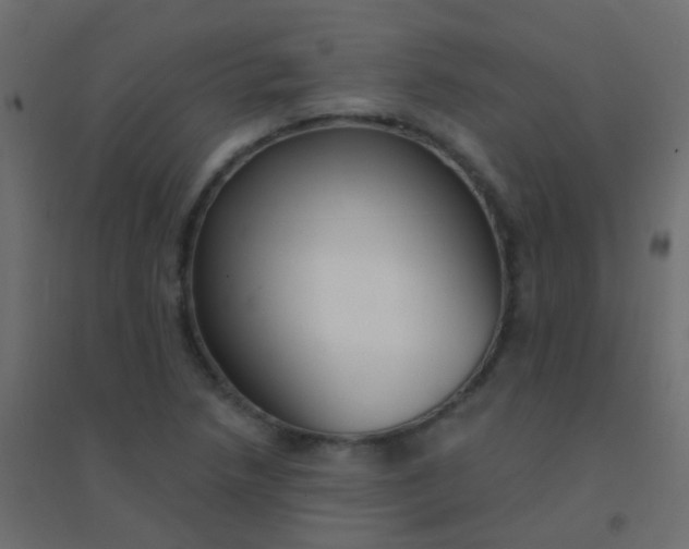 X0000094921218200712131507