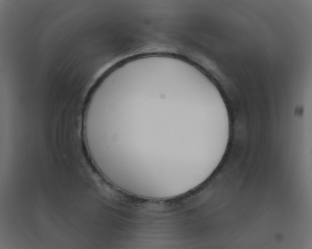 X0000094921220200712131507