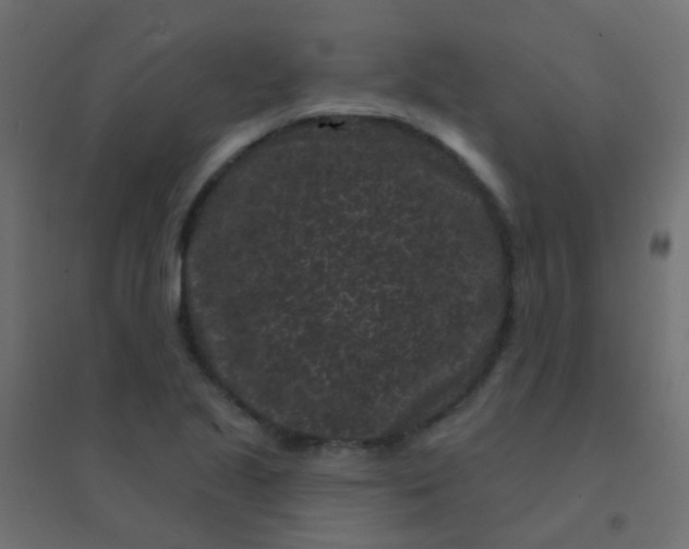 X0000094921221200712131507