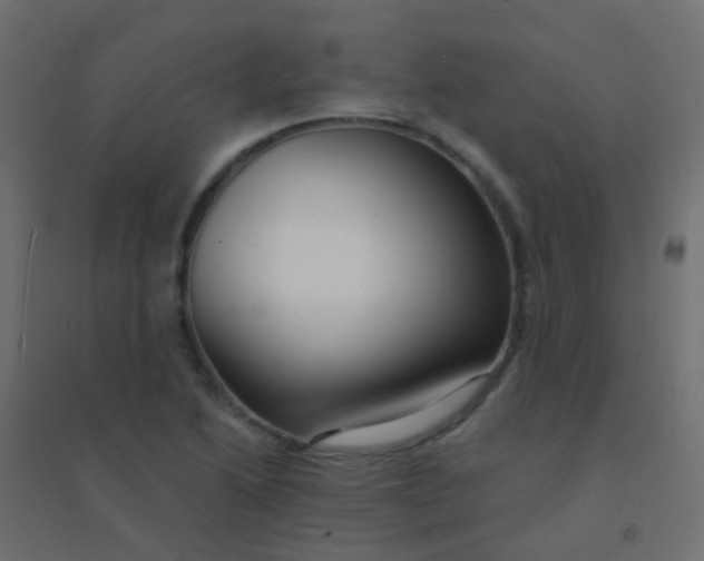 X0000094921222200712131507