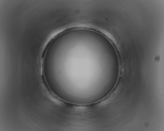 X0000094921223200712131507