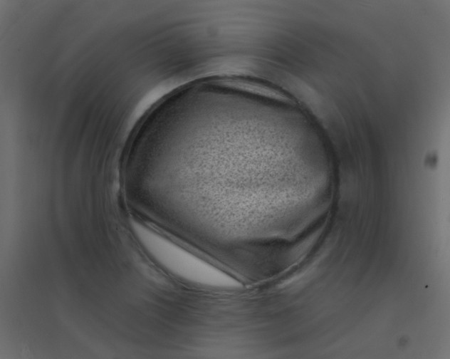 X0000094921226200712131507