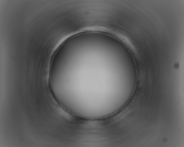 X0000094921228200712131507