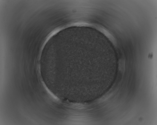 X0000094921229200712131507