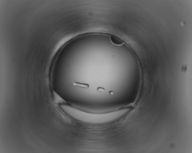 X0000094921230200712131507