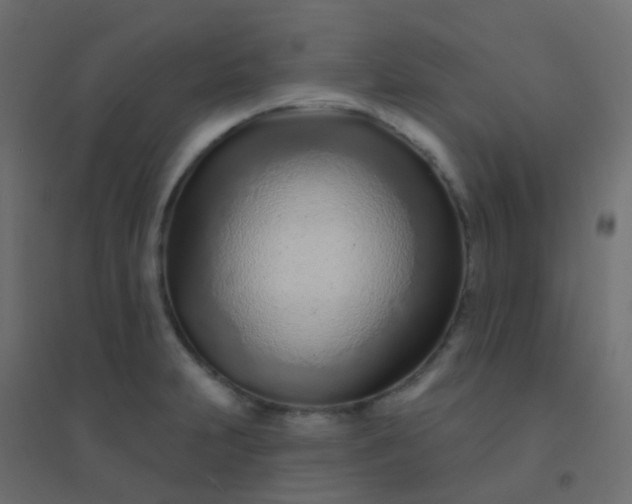 X0000094921231200712131507