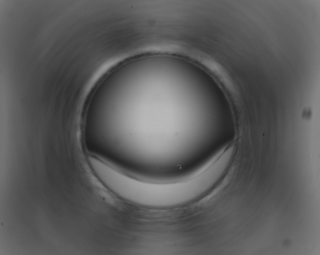 X0000094921232200712131507