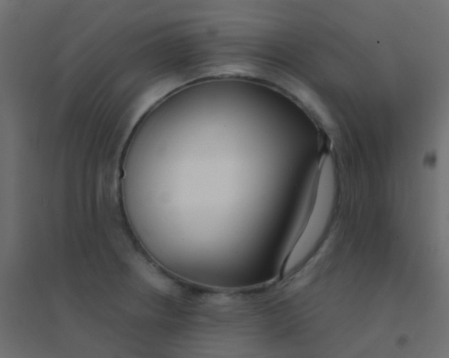 X0000094921234200712131507