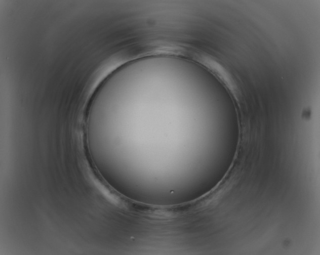 X0000094921235200712131507