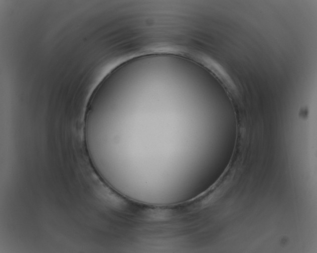 X0000094921236200712131507