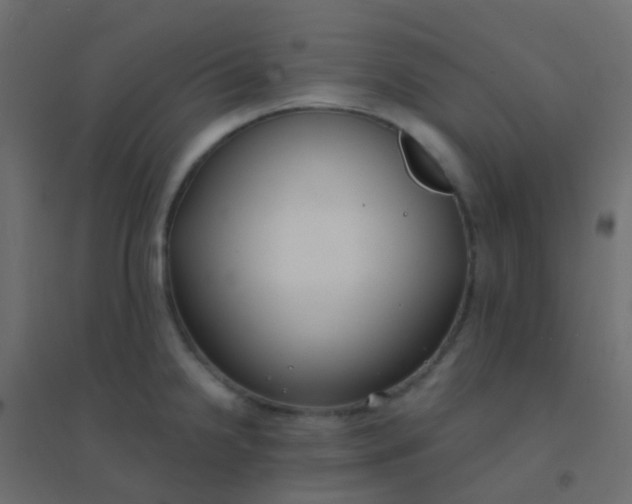 X0000094921238200712131508