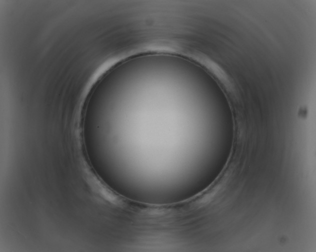 X0000094921240200712131508