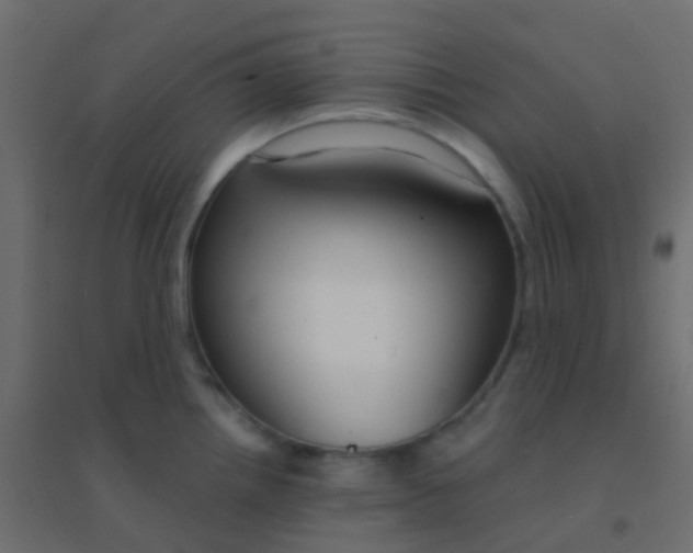 X0000094921242200712131508