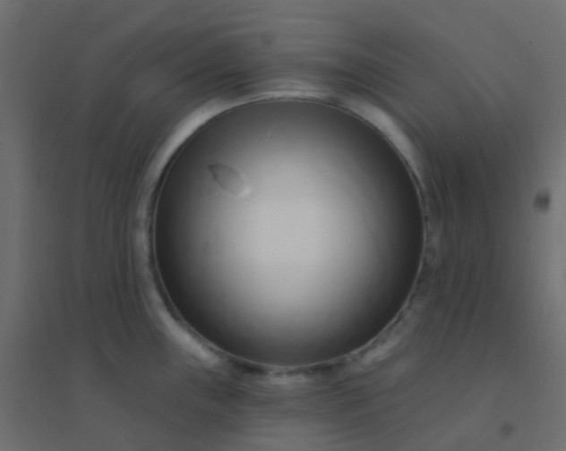 X0000094921243200712131508