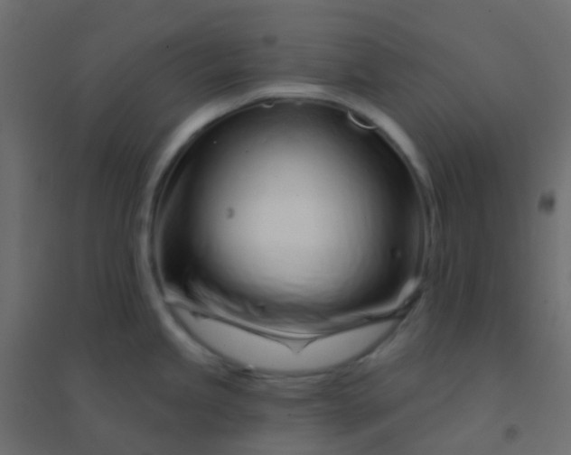 X0000094921245200712131508