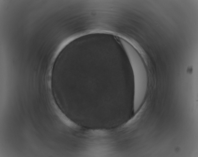 X0000094921246200712131508