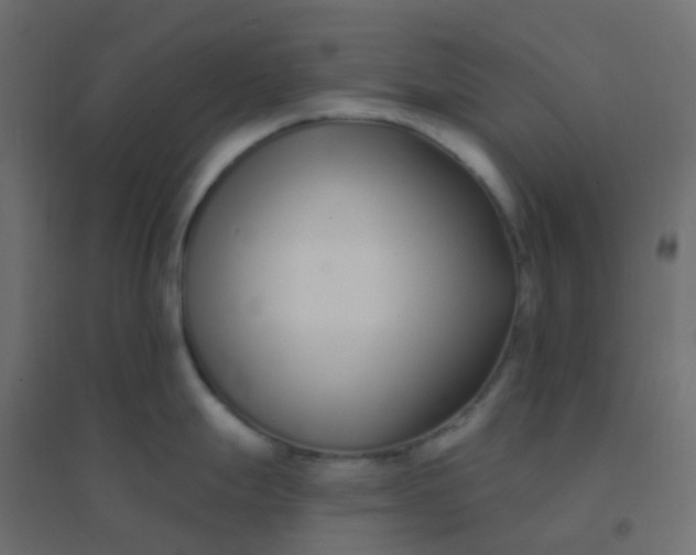 X0000094921247200712131508