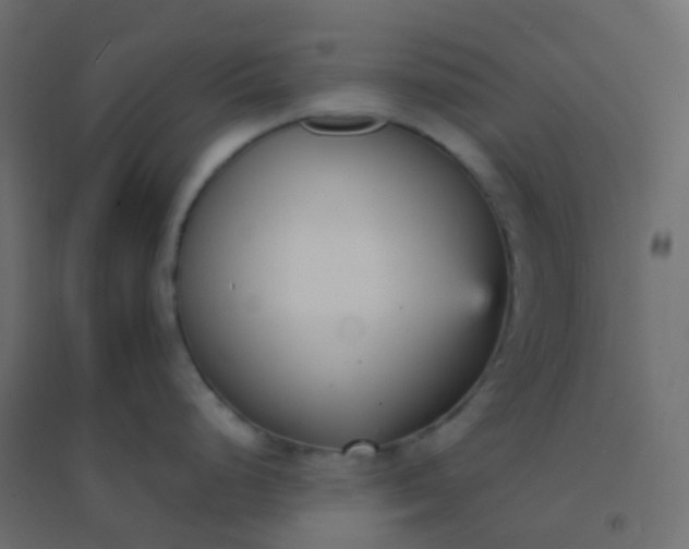 X0000094921248200712131508