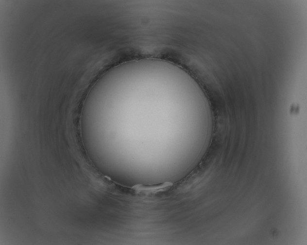 X0000094921249200712131507