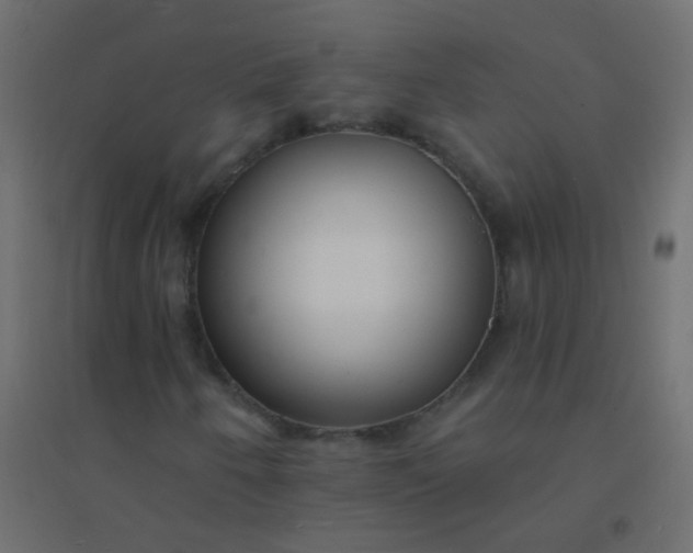 X0000094921250200712131507