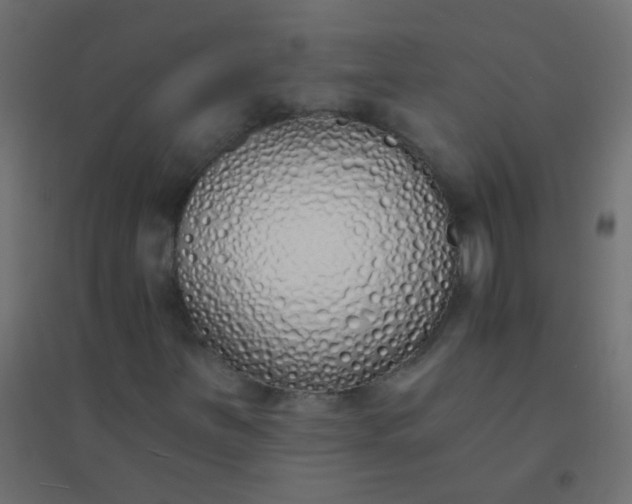 X0000094921251200712131507