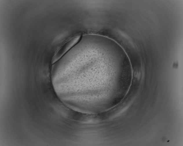 X0000094921252200712131507