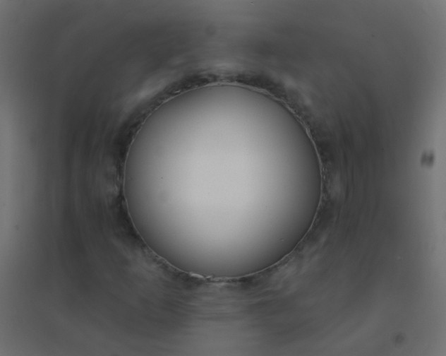 X0000094921253200712131507