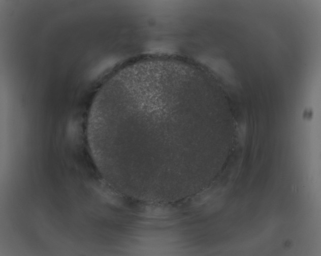 X0000094921254200712131507