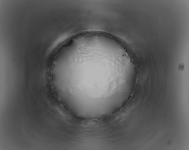 X0000094921255200712131507