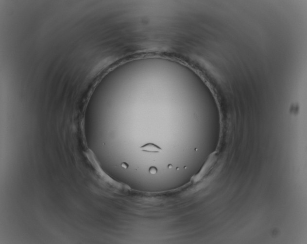 X0000094921257200712131507