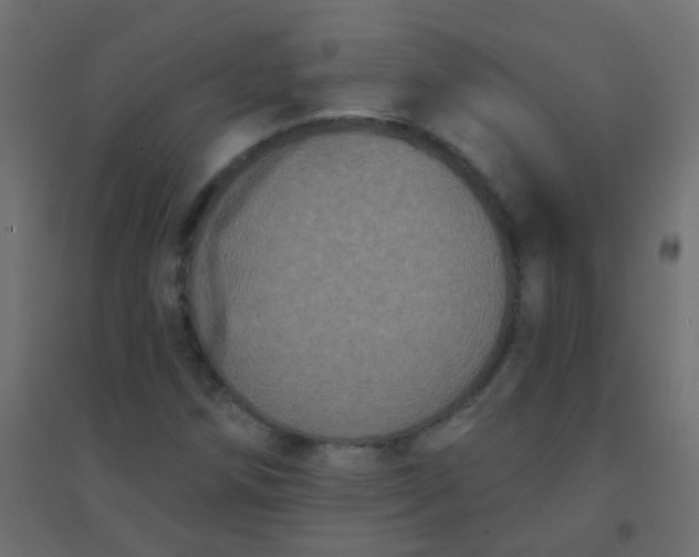 X0000094921258200712131507