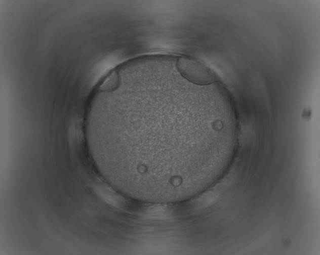 X0000094921259200712131507