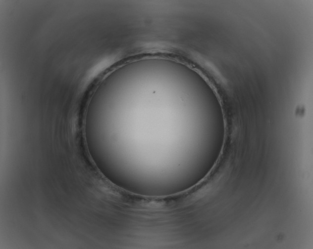 X0000094921261200712131507