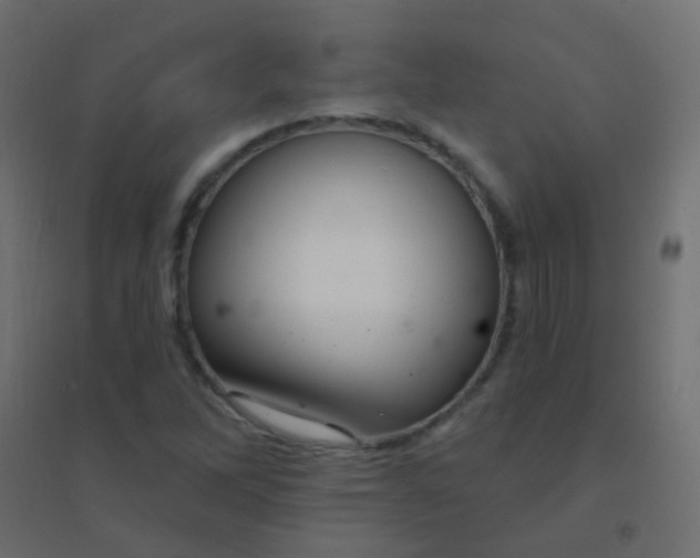 X0000094921262200712131507