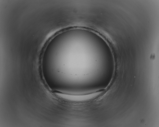 X0000094921264200712131507