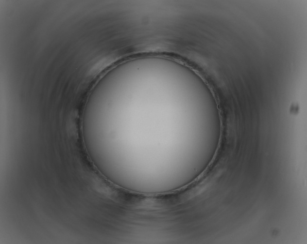 X0000094921265200712131507