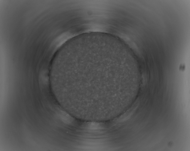 X0000094921266200712131507