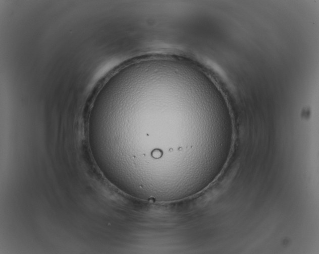 X0000094921267200712131507